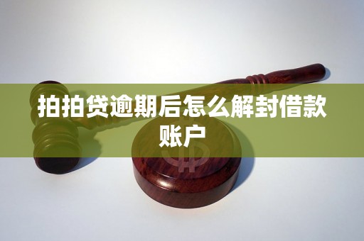 拍拍贷逾期后怎么解封借款账户