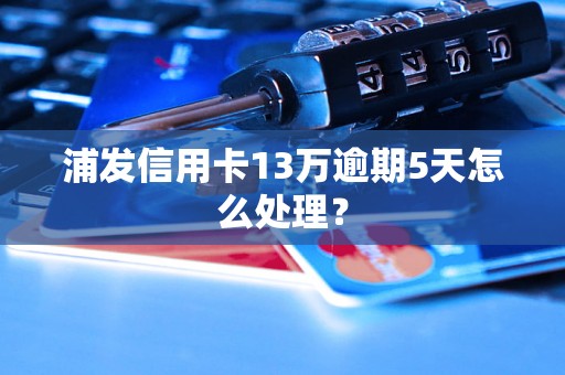 浦发信用卡13万逾期5天怎么处理？