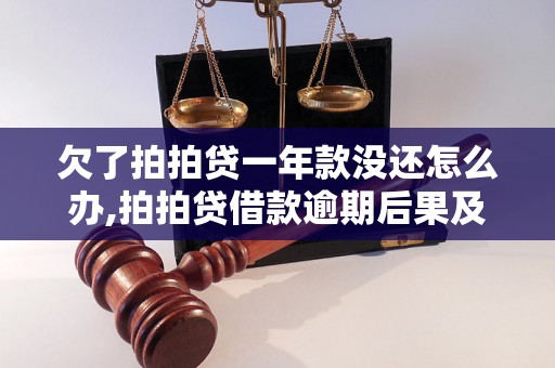 欠了拍拍贷一年款没还怎么办,拍拍贷借款逾期后果及处理办法