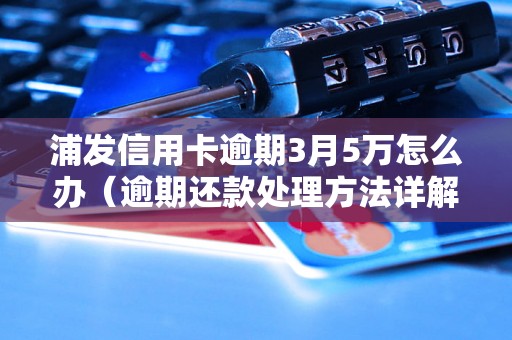 浦发信用卡逾期3月5万怎么办（逾期还款处理方法详解）