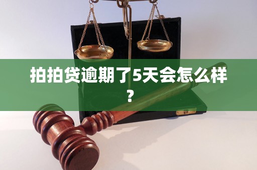 拍拍贷逾期了5天会怎么样？