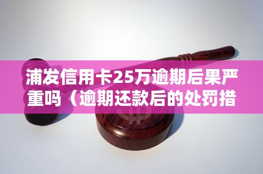 浦发信用卡25万逾期后果严重吗（逾期还款后的处罚措施）