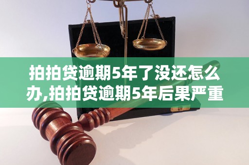 拍拍贷逾期5年了没还怎么办,拍拍贷逾期5年后果严重吗