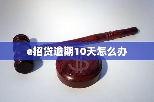 e招贷逾期10天怎么办