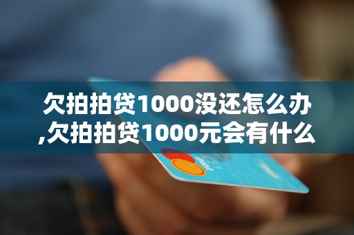 欠拍拍贷1000没还怎么办,欠拍拍贷1000元会有什么后果