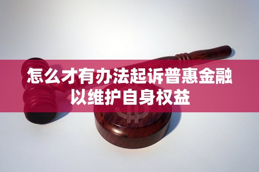 怎么才有办法起诉普惠金融以维护自身权益