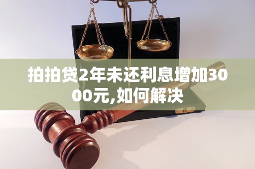 拍拍贷2年未还利息增加3000元,如何解决