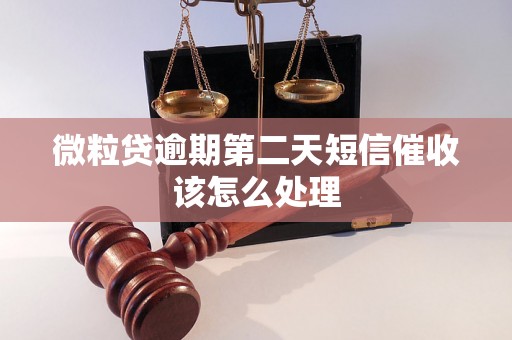 微粒贷逾期第二天短信催收该怎么处理