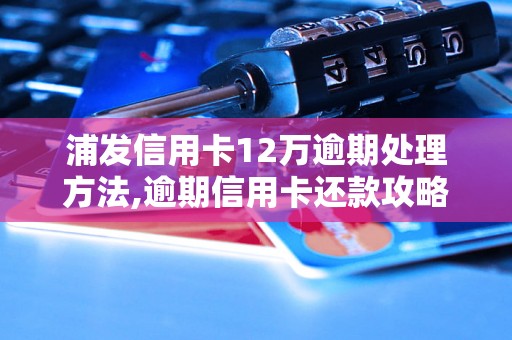 浦发信用卡12万逾期处理方法,逾期信用卡还款攻略