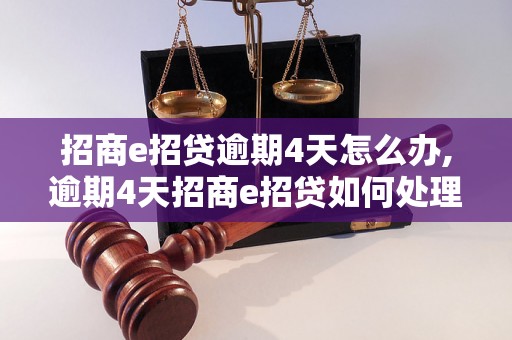 招商e招贷逾期4天怎么办,逾期4天招商e招贷如何处理