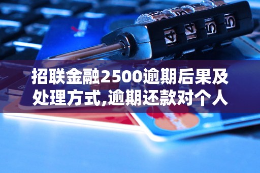 招联金融2500逾期后果及处理方式,逾期还款对个人信用的影响