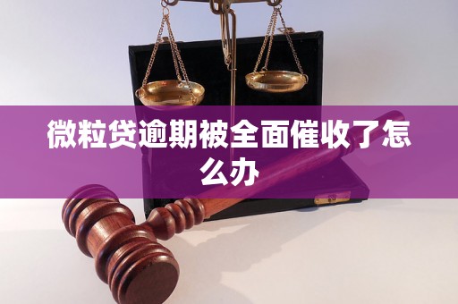 微粒贷逾期被全面催收了怎么办