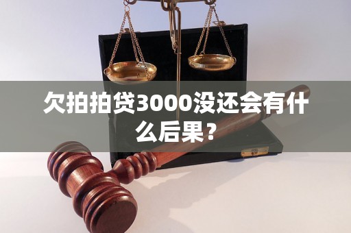 欠拍拍贷3000没还会有什么后果？