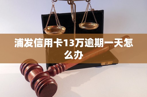 浦发信用卡13万逾期一天怎么办