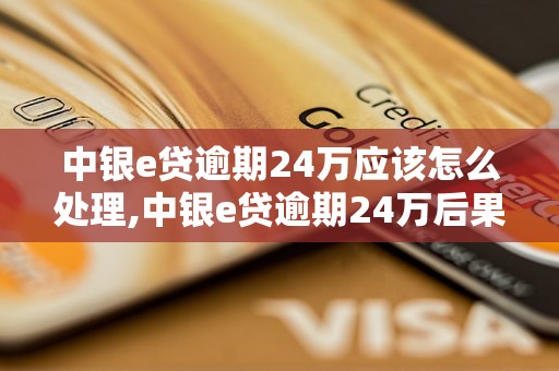 中银e贷逾期24万应该怎么处理,中银e贷逾期24万后果严重吗