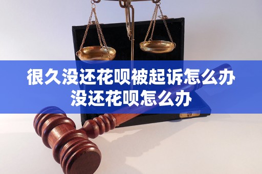 很久没还花呗被起诉怎么办没还花呗怎么办