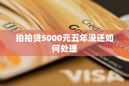 拍拍贷5000元五年没还如何处理