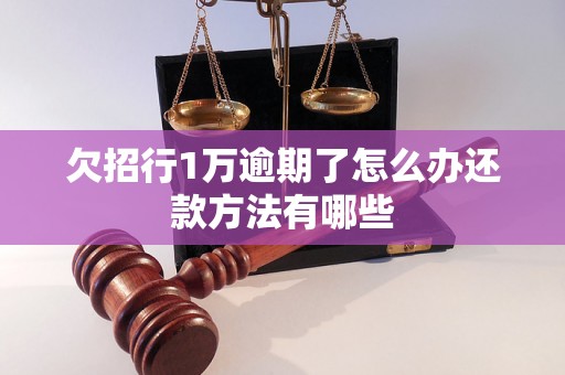 欠招行1万逾期了怎么办还款方法有哪些