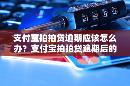 支付宝拍拍贷逾期应该怎么办？支付宝拍拍贷逾期后的解决方法