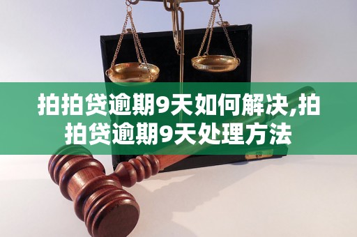 拍拍贷逾期9天如何解决,拍拍贷逾期9天处理方法