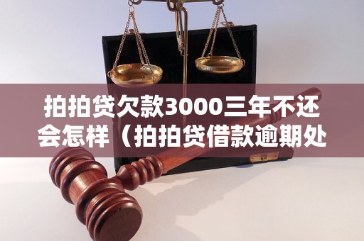 拍拍贷欠款3000三年不还会怎样（拍拍贷借款逾期处理流程）