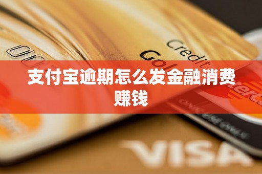 支付宝逾期怎么发金融消费赚钱