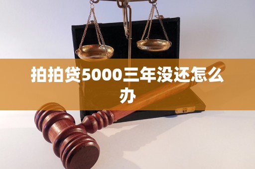 拍拍贷5000三年没还怎么办