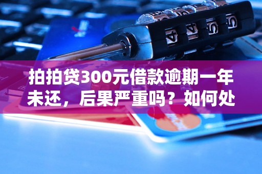 拍拍贷300元借款逾期一年未还，后果严重吗？如何处理？