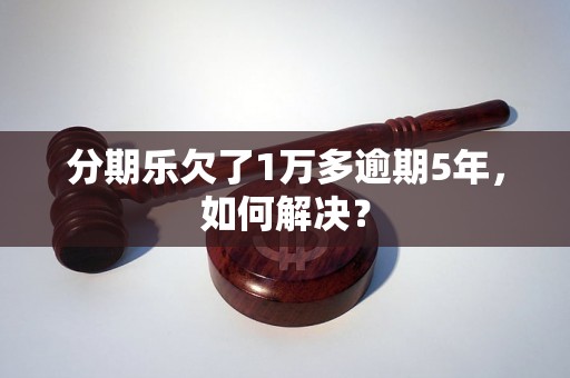 分期乐欠了1万多逾期5年，如何解决？