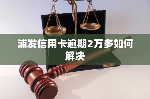 浦发信用卡逾期2万多如何解决