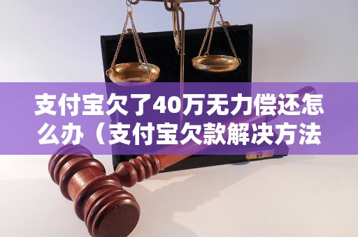 支付宝欠了40万无力偿还怎么办（支付宝欠款解决方法分享）