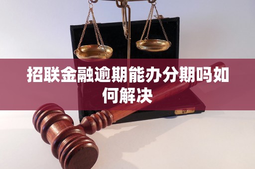 招联金融逾期能办分期吗如何解决