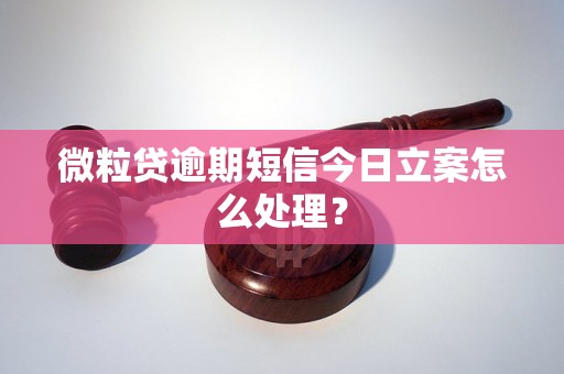 微粒贷逾期短信今日立案怎么处理？