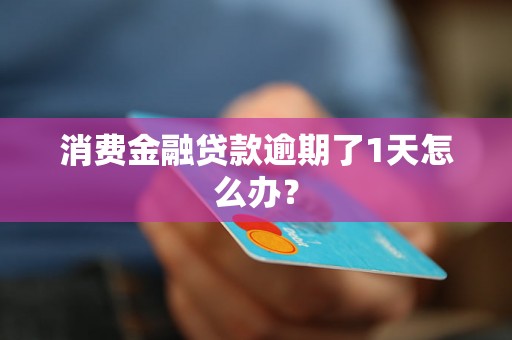 消费金融贷款逾期了1天怎么办？