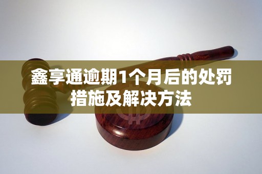 鑫享通逾期1个月后的处罚措施及解决方法