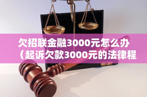 欠招联金融3000元怎么办（起诉欠款3000元的法律程序）