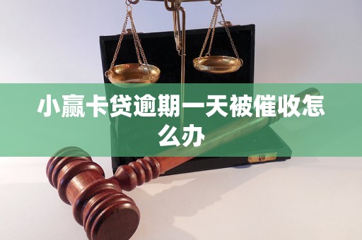 小赢卡贷逾期一天被催收怎么办