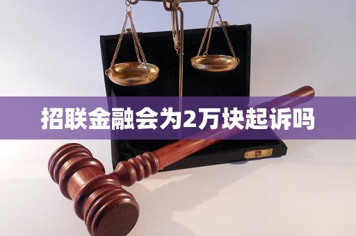 招联金融会为2万块起诉吗