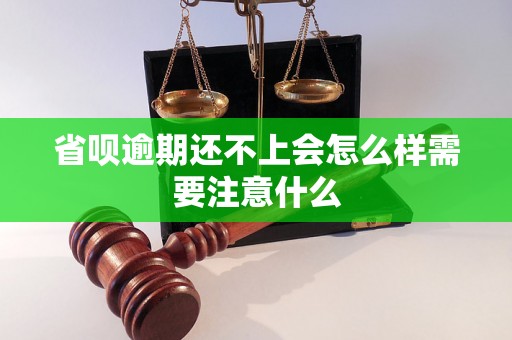 省呗逾期还不上会怎么样需要注意什么