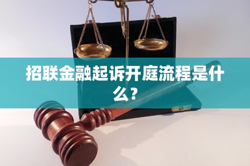 招联金融起诉开庭流程是什么？