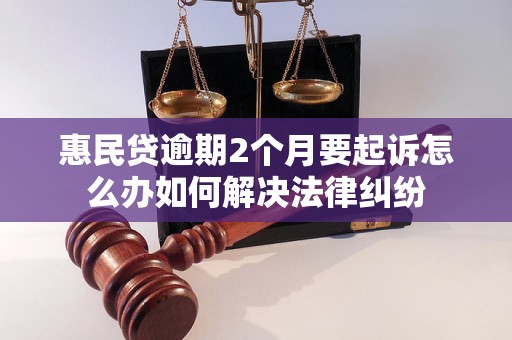 惠民贷逾期2个月要起诉怎么办如何解决法律纠纷