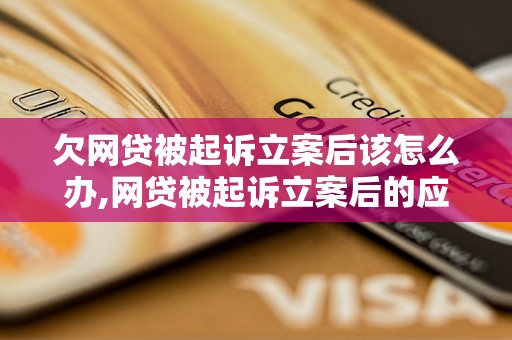 欠网贷被起诉立案后该怎么办,网贷被起诉立案后的应对策略