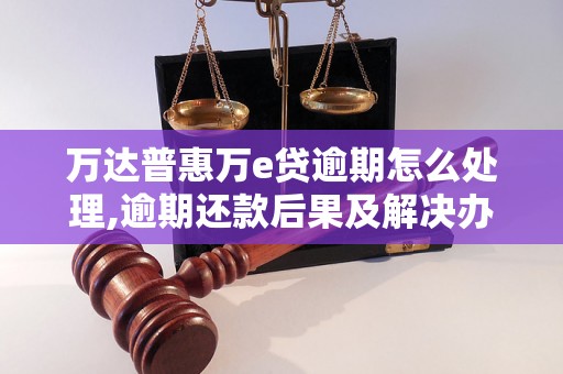 万达普惠万e贷逾期怎么处理,逾期还款后果及解决办法