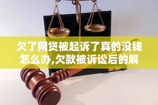 欠了网贷被起诉了真的没钱怎么办,欠款被诉讼后的解决方法