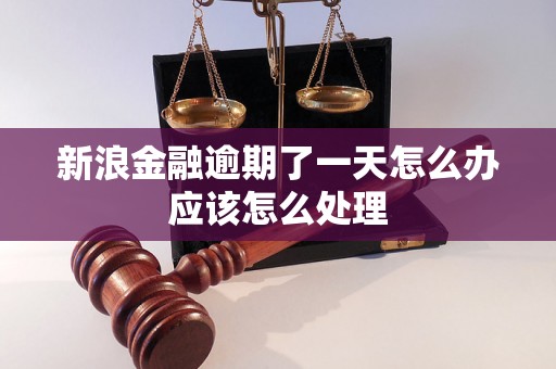 新浪金融逾期了一天怎么办应该怎么处理