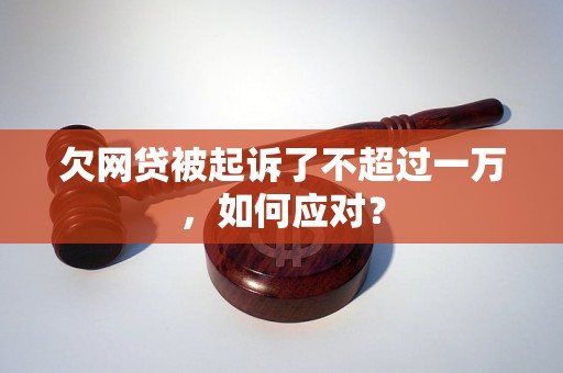 欠网贷被起诉了不超过一万，如何应对？