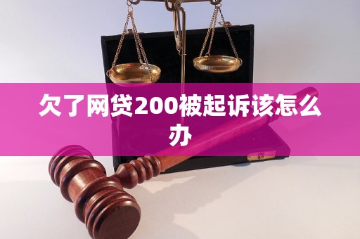 欠了网贷200被起诉该怎么办