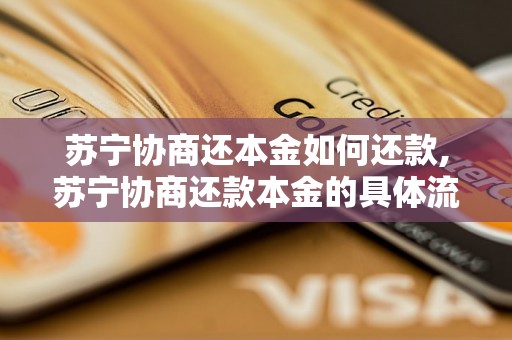 苏宁协商还本金如何还款,苏宁协商还款本金的具体流程