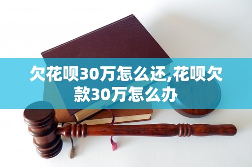 欠花呗30万怎么还,花呗欠款30万怎么办