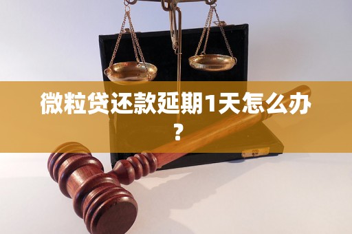 微粒贷还款延期1天怎么办？